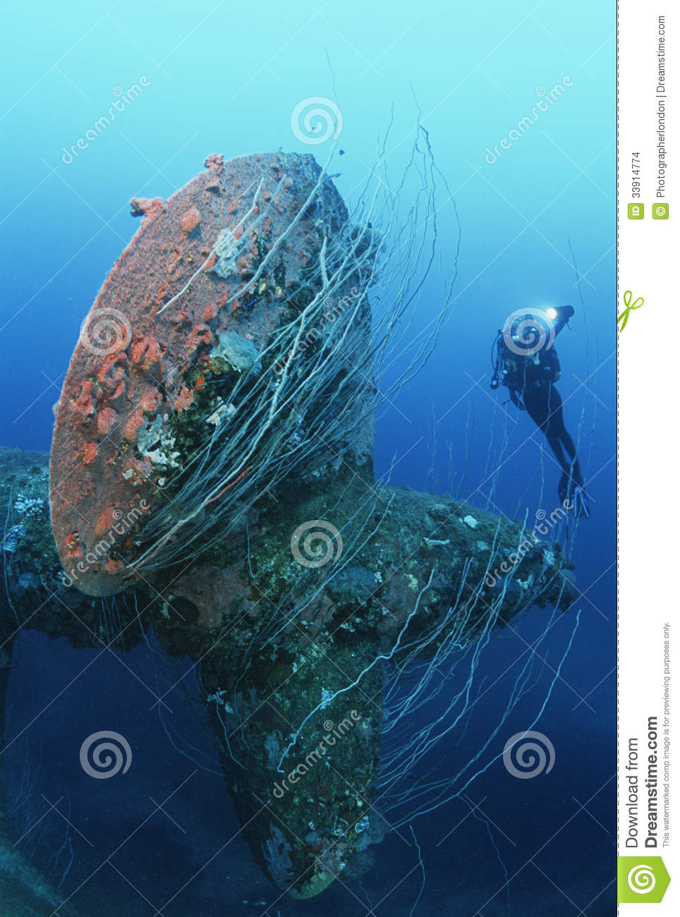     Of Female Scuba Diver Swimming Near Propeller Of Sunken Battleship