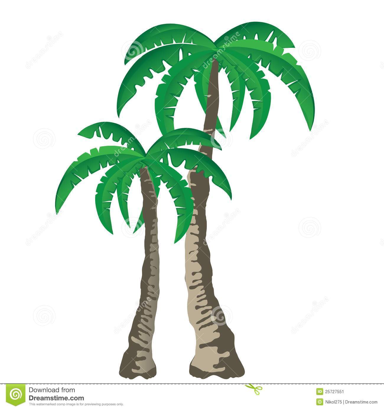 Palm Tree No Background Tropical Palm Trees Isolated White Background    