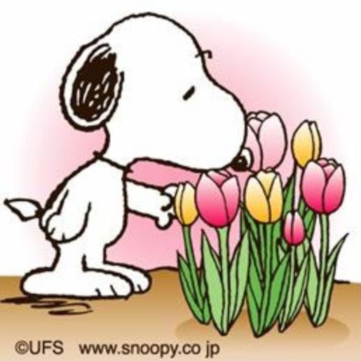 Pin By Michelle Krantz Luna On Snoopy And Charlie Brown   Pinterest