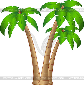 Related Pictures Clip Art Group Palm Trees Funny 4799618435319127 Jpg