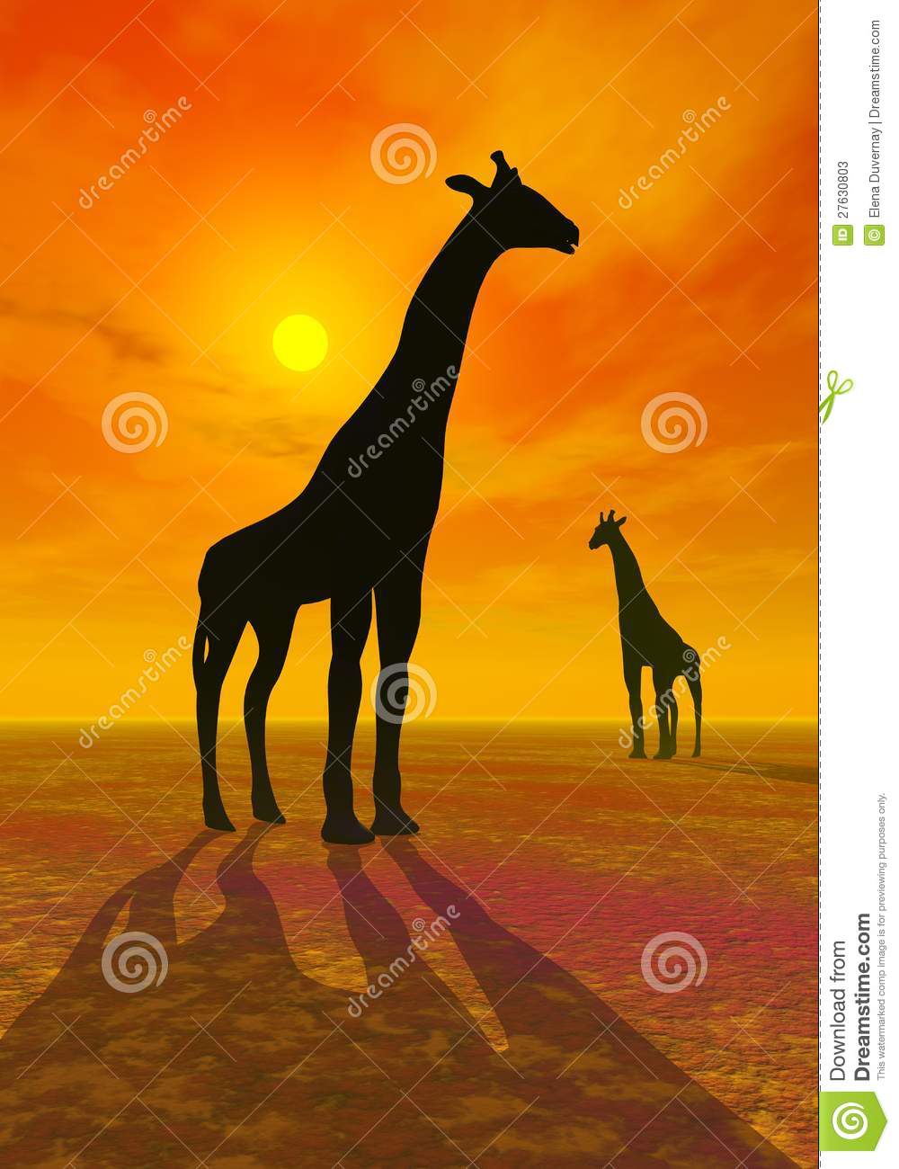 Shadows Of Two Giraffes By Beautiful Red Sunset In The Desert