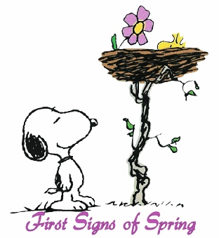 Spring Is Just Around The Corner    Peanuts   Pinterest