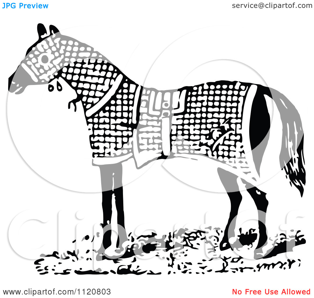 Clipart Of A Retro Vintage Black And White Horse In A Blanket    