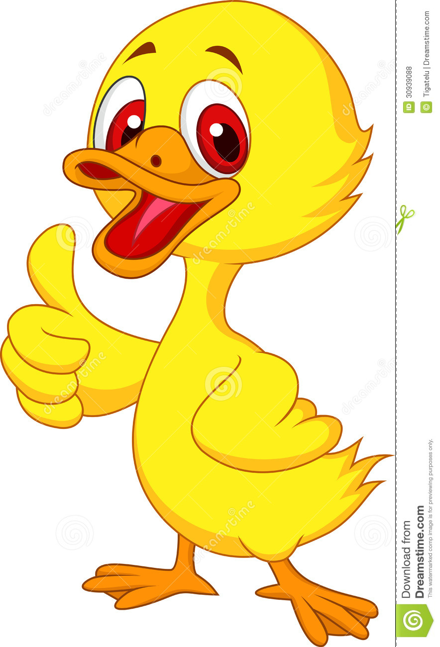 Cute Baby Duck Cartoon Thumb Up Royalty Free Stock Photos   Image    
