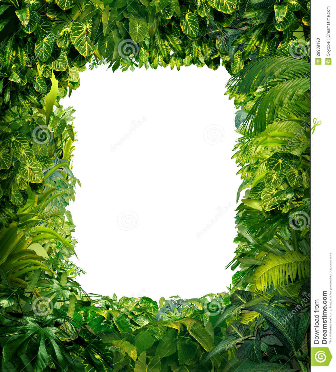 Jungle Border Blank Frame With Rich Tropical Green Plants As Ferns And