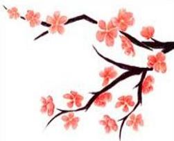 Tags Peach Blossoms Flowers Did You Know The Peach Blossom Is The
