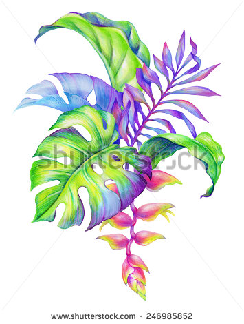 Abstract Tropical Leaves And
