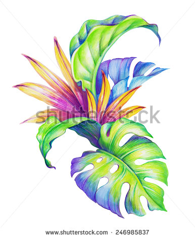 Abstract Tropical Leaves And