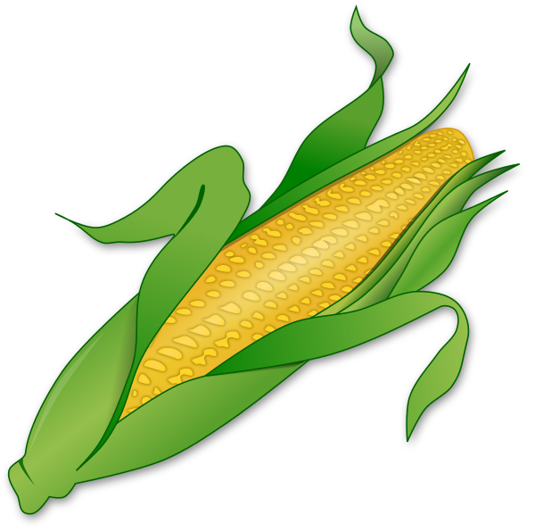 Clip Art   Http   Www Wpclipart Com Food Vegetables Corn Corn 2 Corn    