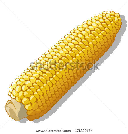 Clip Art Of Corn Roast Clipart   Cliparthut   Free Clipart