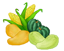 Corn And Squash Clip Art   Vegetables Clip Art