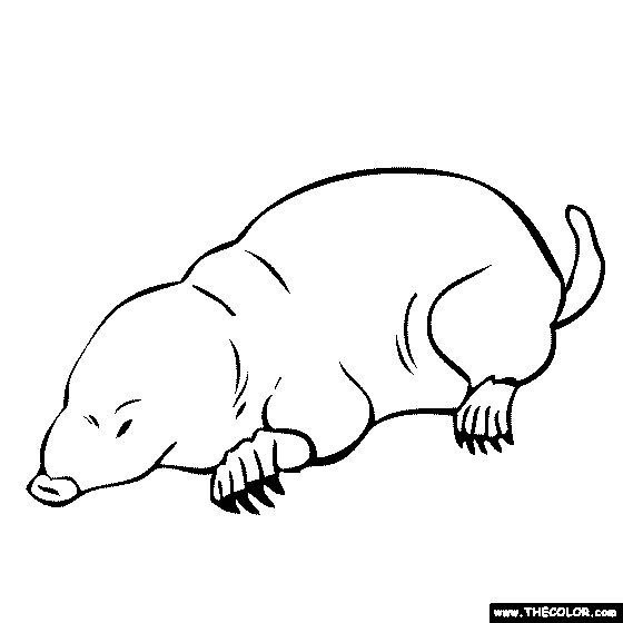 Dark Mole Colouring Pages
