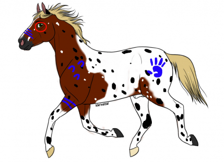 Spirit Horse Clip Art Pic  13