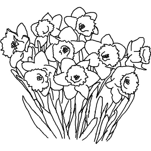 Spring Free Clip Art Black And White   Clipart Best