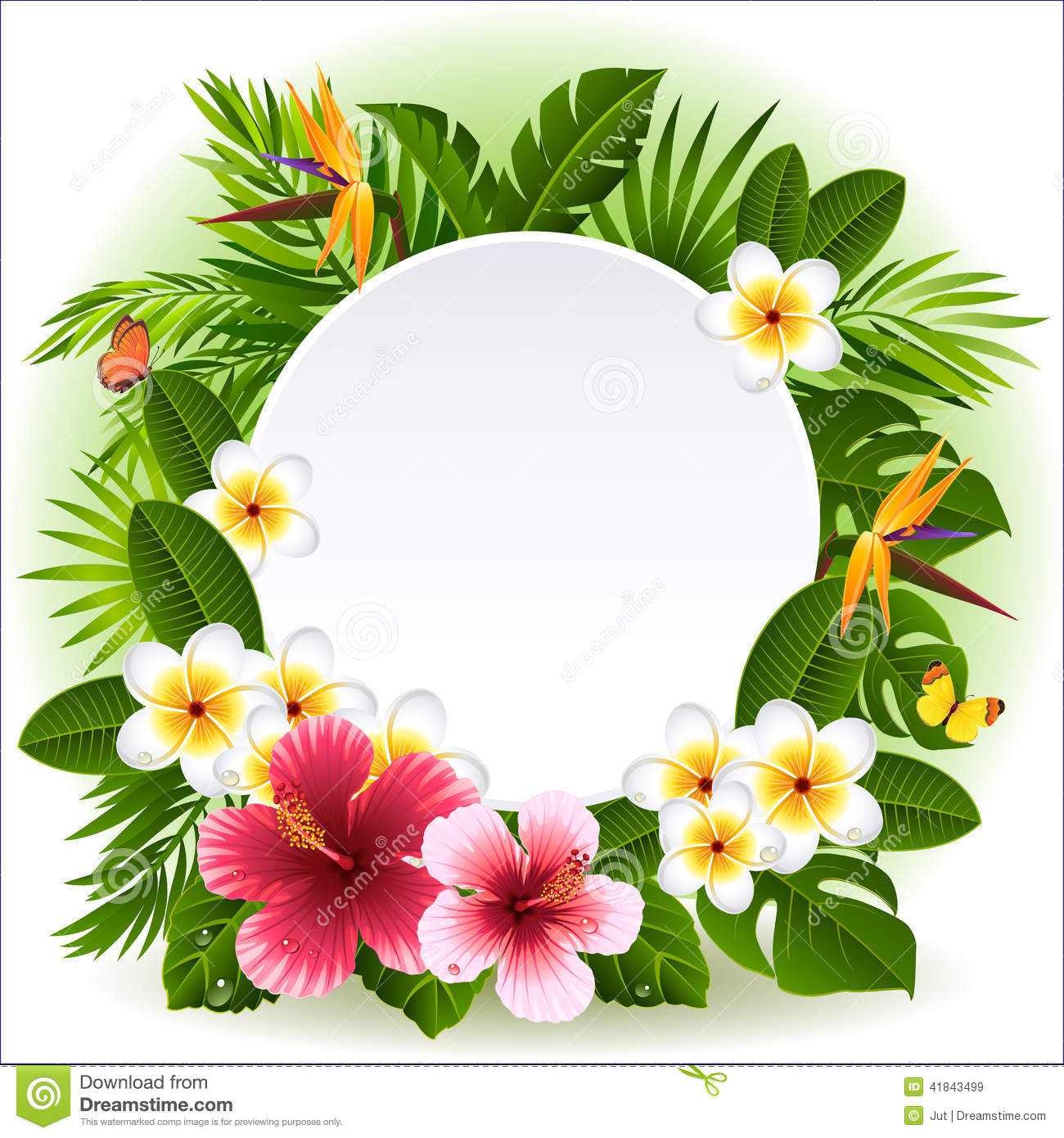 Tropical Flowers Stock Vector   Image  41843499