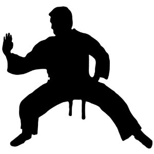 Amazon Com   Martial Arts Wall Decal Sticker   Karate Sports