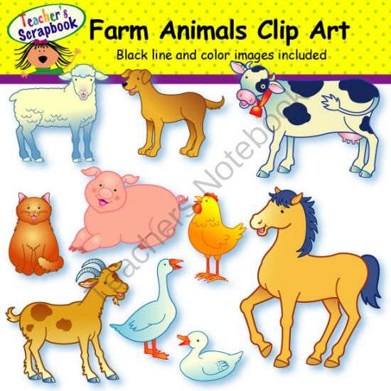 Farm Animals Clip Art From Teacherscrapbook On Teachersnotebook Com