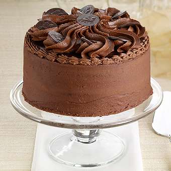 Godiva Chocolate Ganache Layer Cake   Thisnext