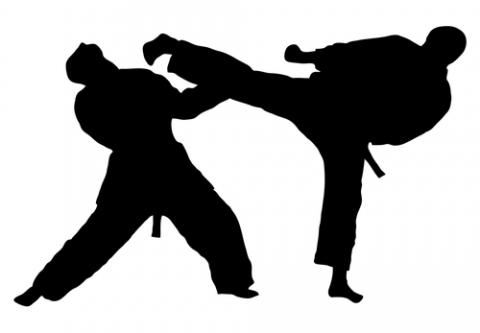 New Jersey Martial Arts   Many Other Benefits   Taekwondo Fair    