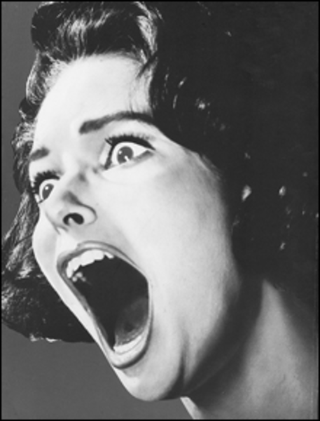 Screaming Woman   Free Images At Clker Com   Vector Clip Art Online