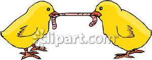 Two Baby Chicks Fighting Over A Worm Royalty Free Clipart Picture
