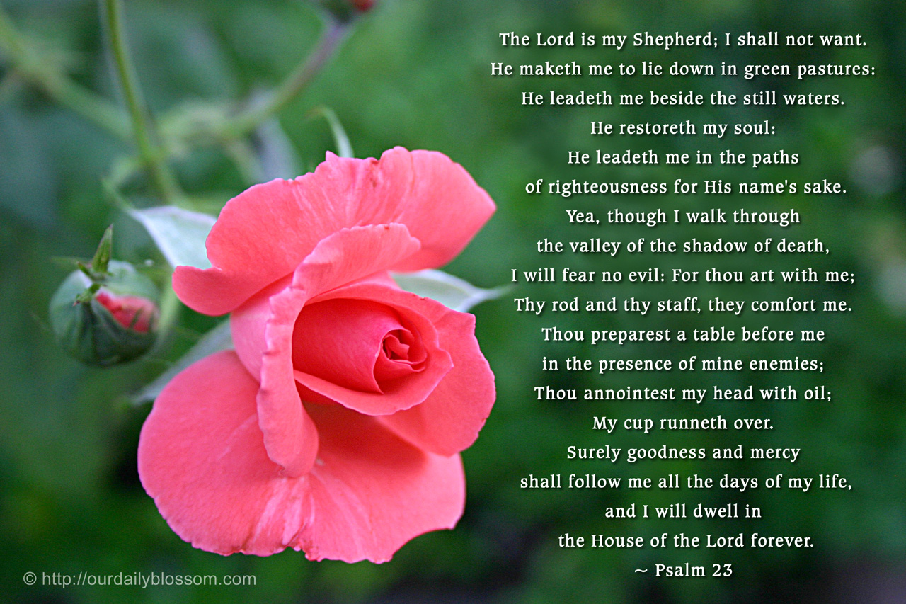 Bible Verse   Psalm 23   Our Daily Blossom