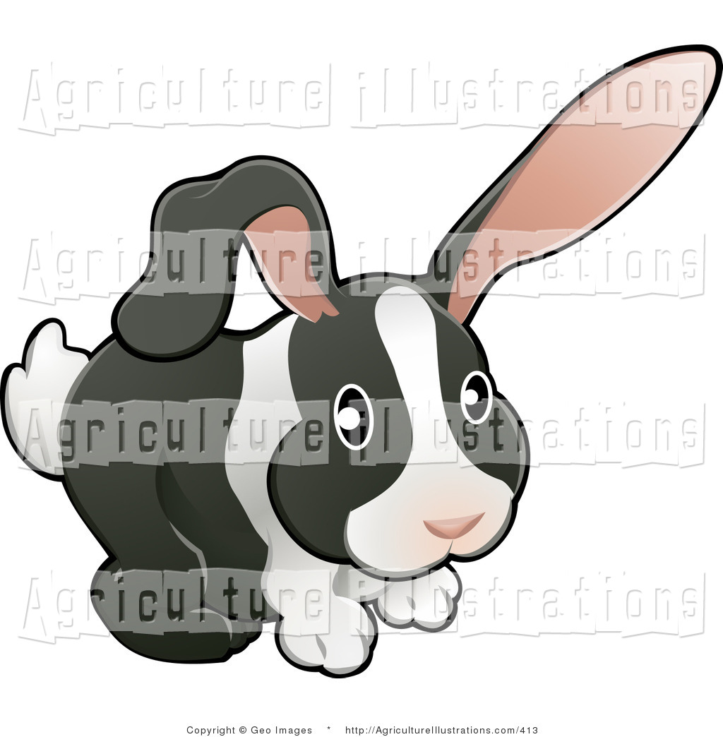 Bunny Clip Art Black And White