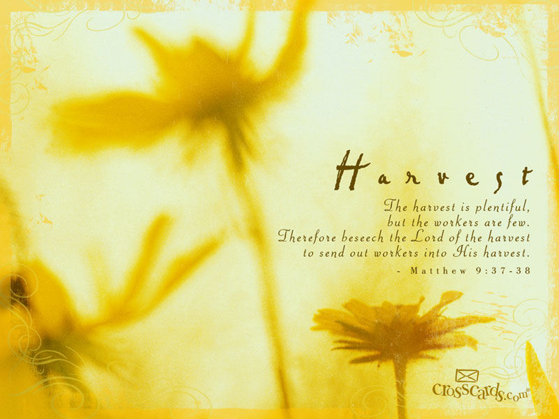 Harvest Desktop Wallpaper   Free Scripture Verses Backgrounds