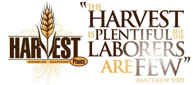 Harvest Fields Harvest Field Plants Harvest 151 Harvest 1 5 1 Harvest