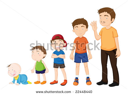 Illustration Of Various Stages Of Development   Stock Photo