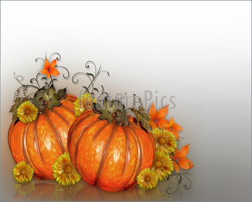 Image And Illustration Composition Of Large Pumpkins With Fall Flowers