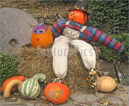 Photograph Of Halloween Display  Royalty Free Photo At Featurepics Com