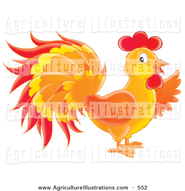 Pics Photos   Colorful Red Yellow Orange Rooster Chicken Design Coffee    