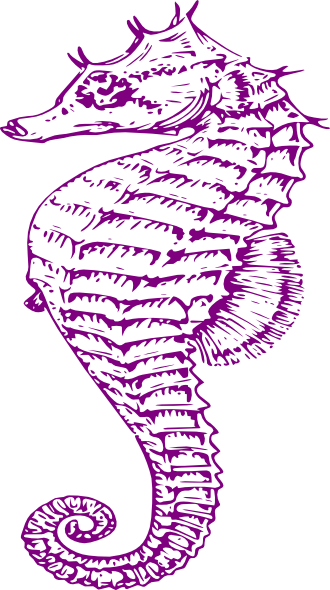 Purple Seahorse Clip Art   Vector Clip Art Online Royalty Free