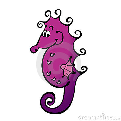 Purple Seahorse Sweet Purple Seahorse