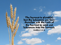 The Harvest To Send Out Labourers Into His Harvest     Matthew 9 37 38