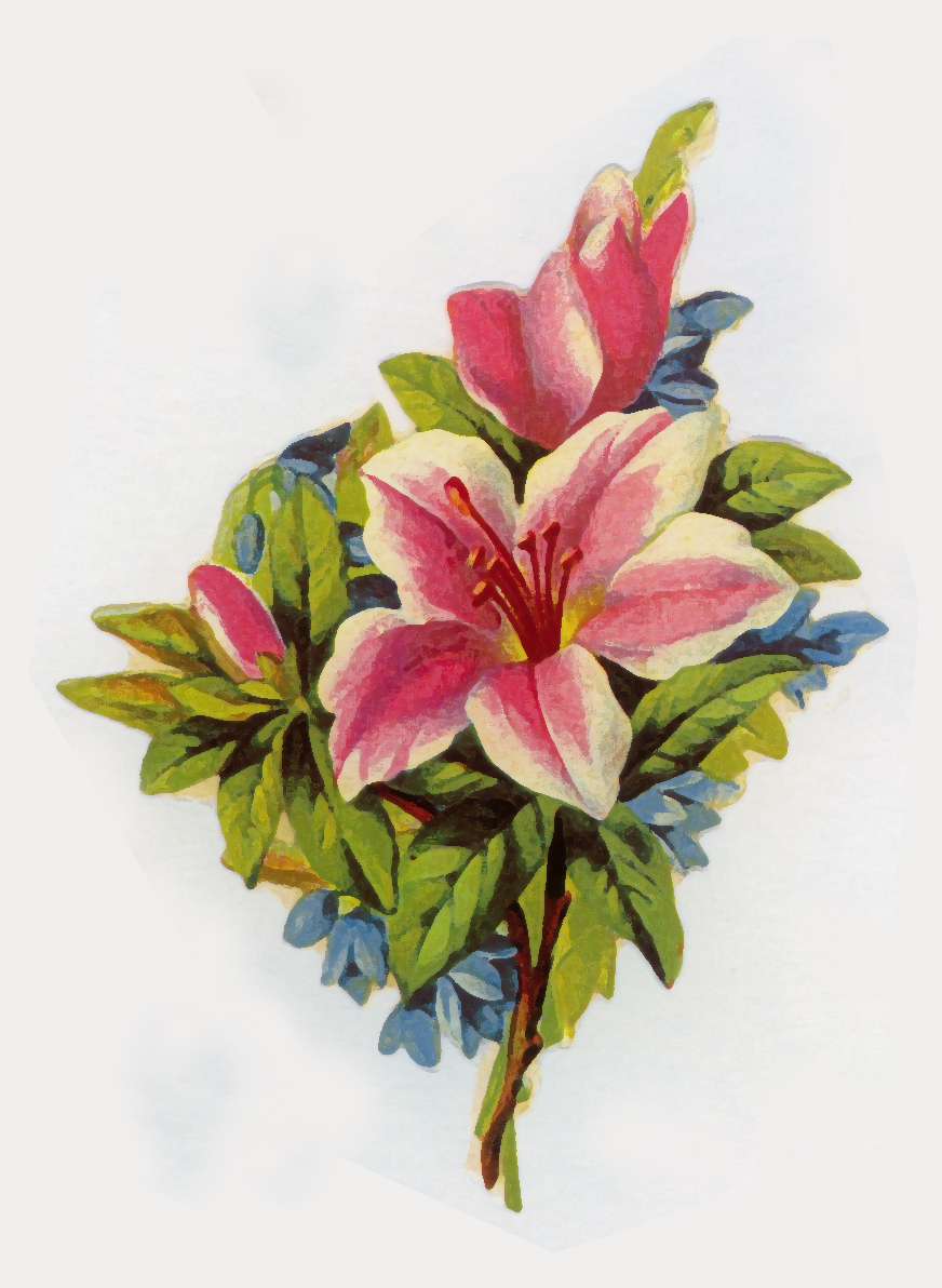 Vintage Floral Prints   Clip Art For Your Cards Paper Crafts