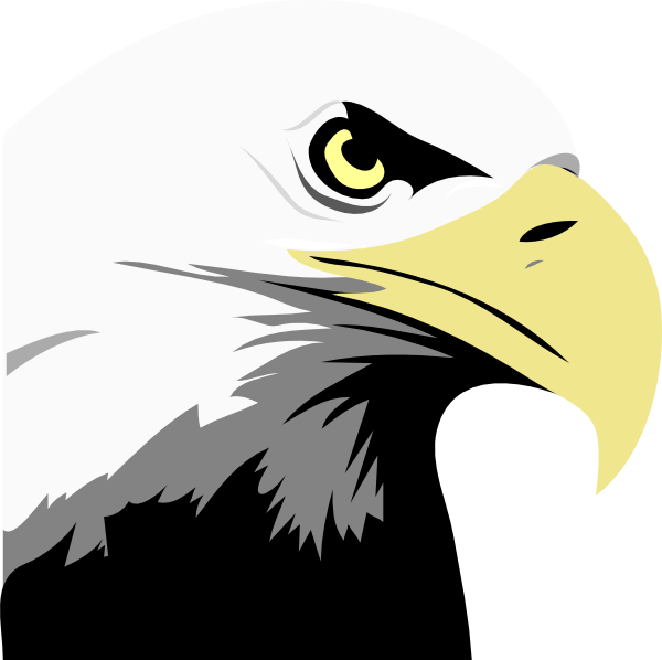 Bald Eagle Head Clip Art At Clker Com   Vector Clip Art Online