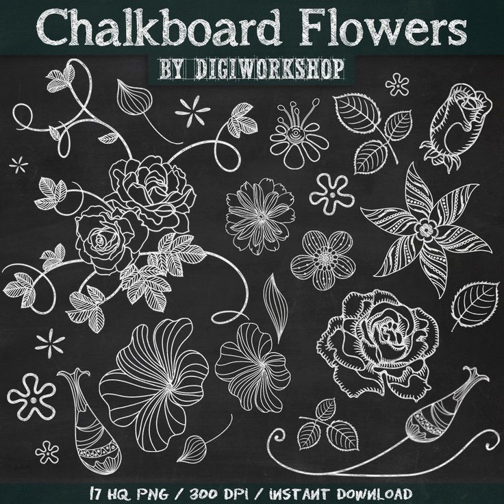 Chalkboard Clip Art Flowers   Digital Clipart Chalkboard Flowers Fl    
