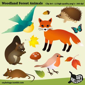 Cute Woodland Forest Animals Clip Art  12 High Quality 300 Dpi Png    