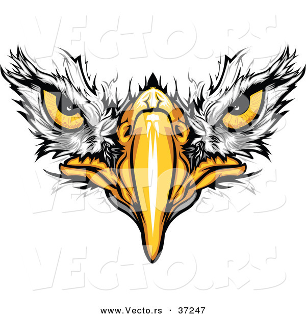 Eagle Eye Clip Art Clover Mug Bald Eagle Face With Fearless Eyes