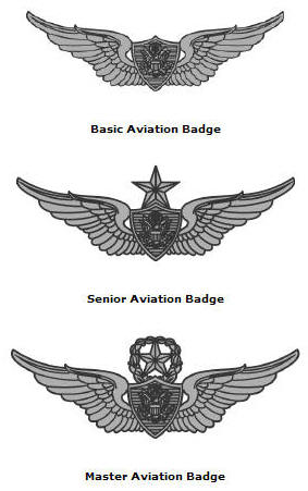 Information About The Aviation Badges