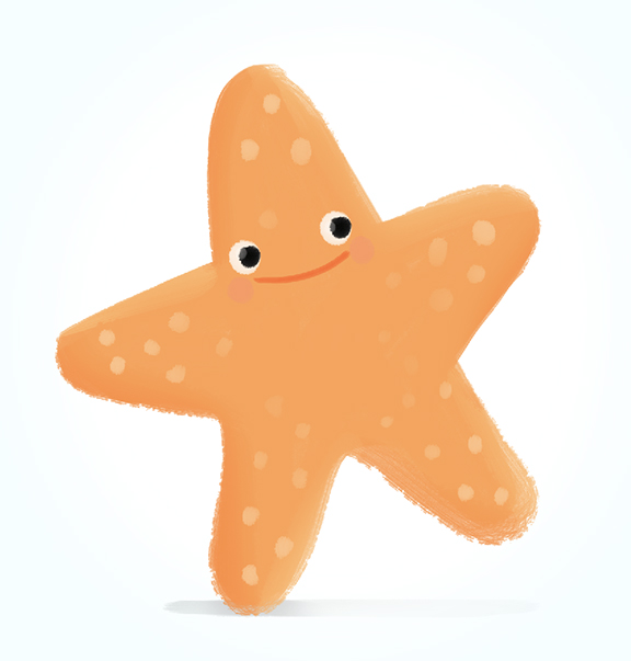 Starfish Vs  Sea Stars   Ikids