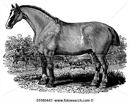 Art   A 19th Century Engraving Animal   Mammal Cart Horse Draft Horse    