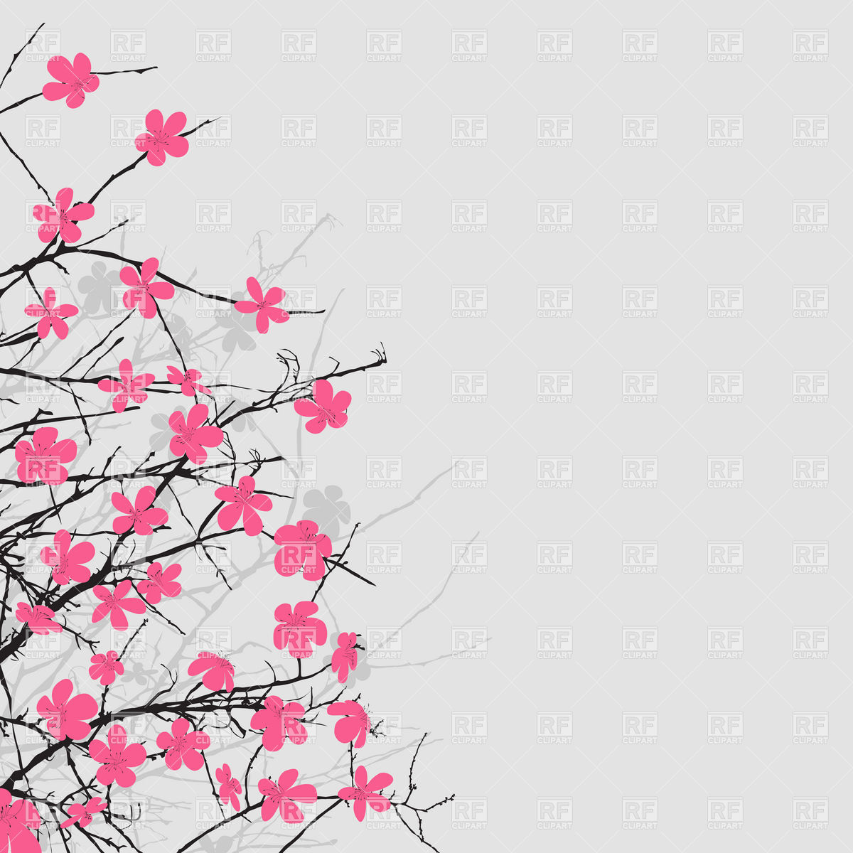Blossoming Cherry Branches Plants And Animals Download Royalty