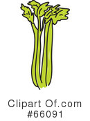 Celery Clip Art