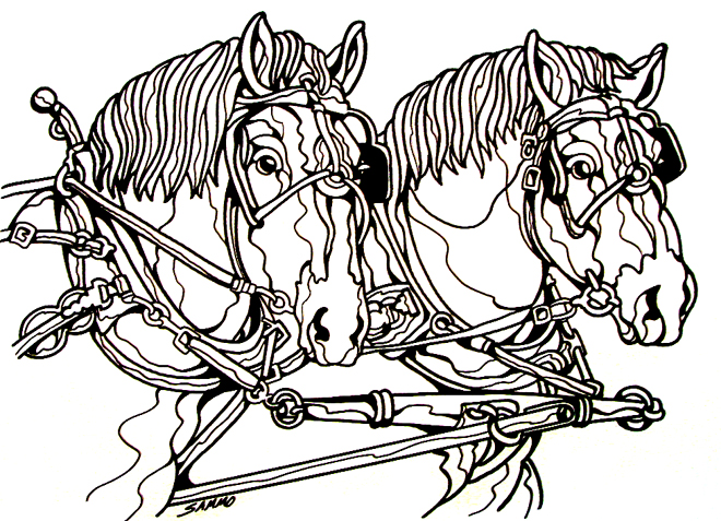 Draft Horse Line Art For Pinterest