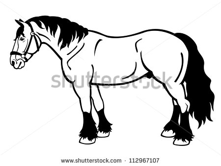 Draft Horseblack And White Vector Illustrationside View Image