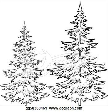Pine Tree Outline Clip Art   Stock Illustration   Fur Tree Contours