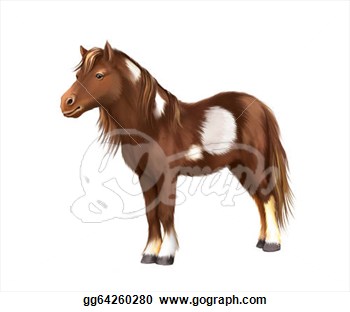 Shetland Pony Miniature Horse Brown With White Spots Isolated